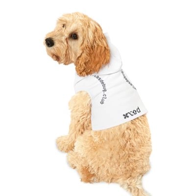 Pet hoodie product image 2